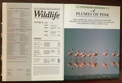 THE ILLUSTRATED ENCYCLOPEDIA OF WILDLIFE – VOLUME 18 – Pages 1021-1080 -Hardback