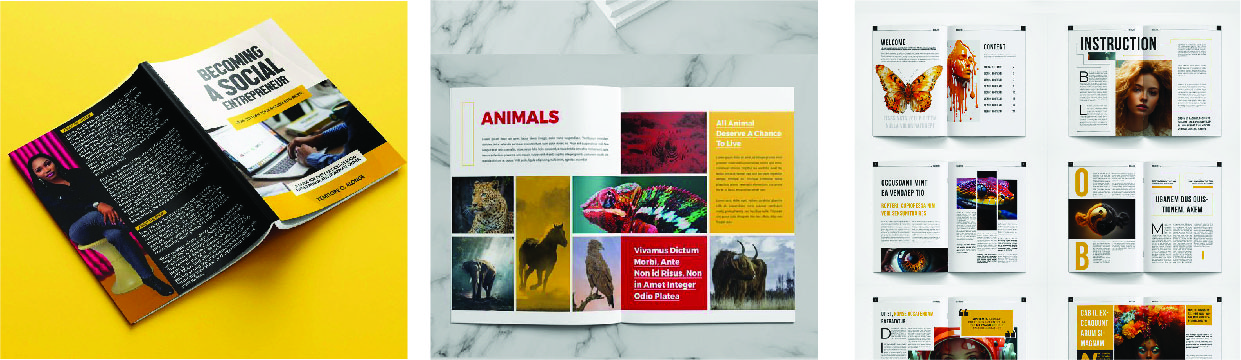 Magazine design Images